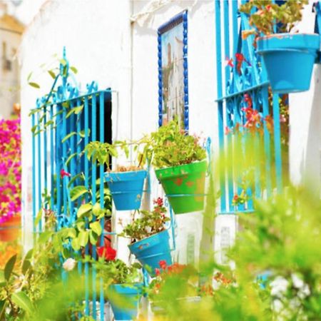 Apartamento Sol Y Mar توريمولينوس المظهر الخارجي الصورة